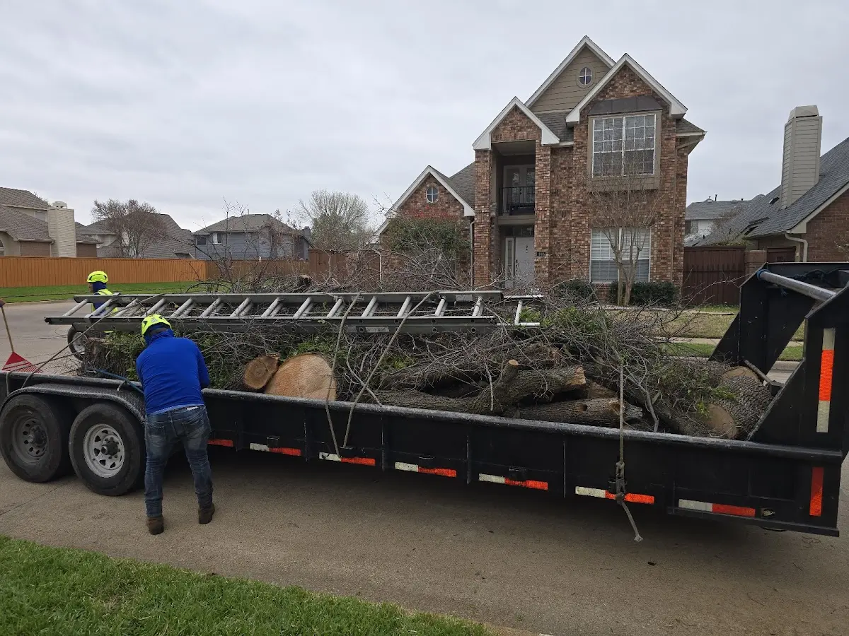 Expert Tree Fertilization with proper safety equipment in Flensburg